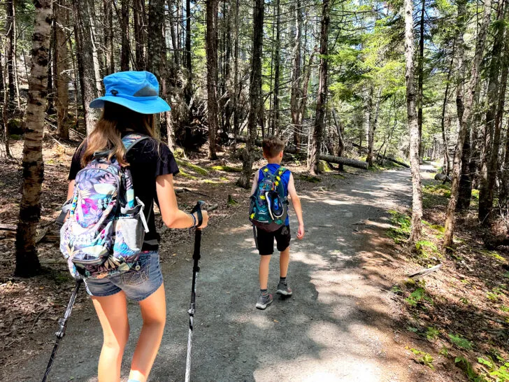 best family volcanic trails united states