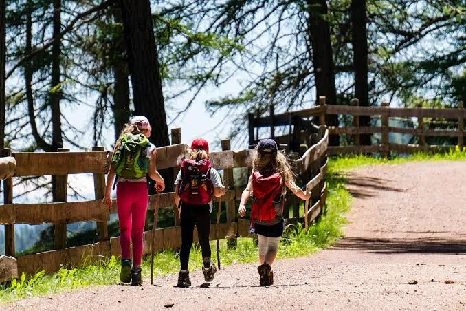 Volcanic Family Trails in America: Geological Framework & Hiking Guide