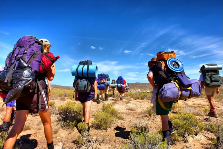 Travel Fatigue Management: Physiological Optimization and Group Itinerary Logistics Protocols